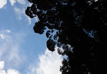 201302111433-DSC05316.jpg