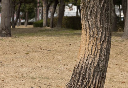 201302121200-DSC05423.jpg