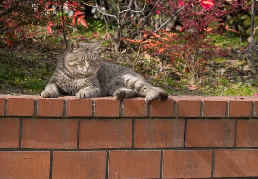 201302121207-DSC05443.jpg