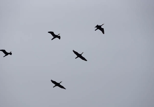 201302121209-DSC05450.jpg