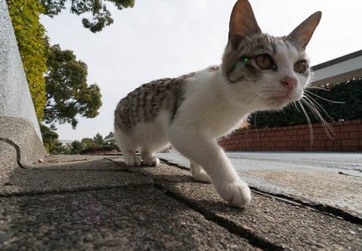 201302121217-DSC00803N.jpg