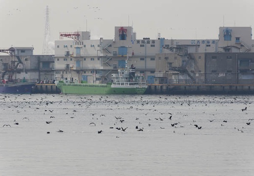 201302121238-DSC05507.jpg