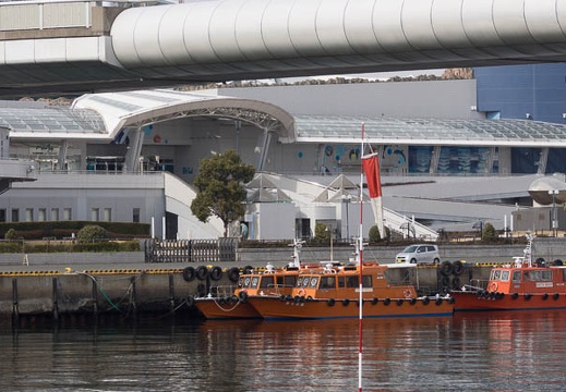 201302121240-DSC05513.jpg