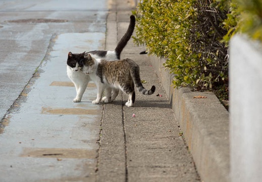 201302121258-DSC05572.jpg