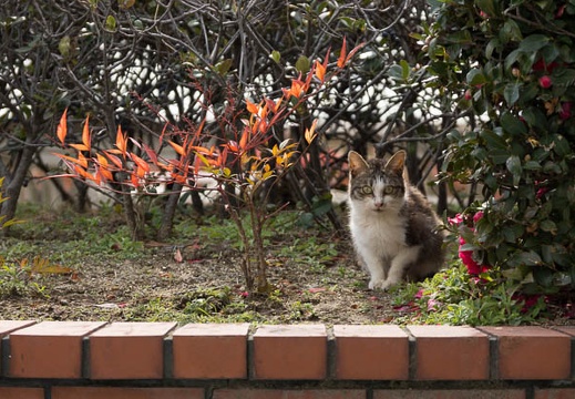 201302121258-DSC05575.jpg