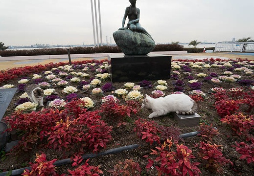 201302121315-DSC00814N.jpg