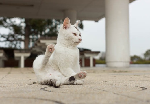 201302121329-DSC05636.jpg