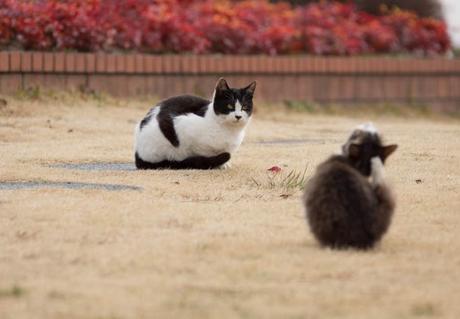 201302121338-DSC05648.jpg