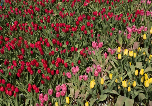 201302131123-DSC05752.jpg