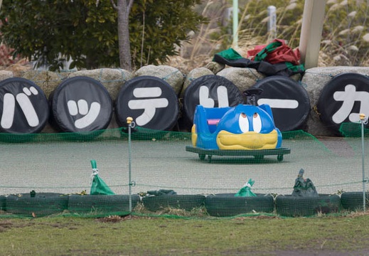 201302131234-DSC05935.jpg