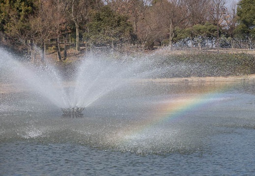 201302131253-DSC05976.jpg