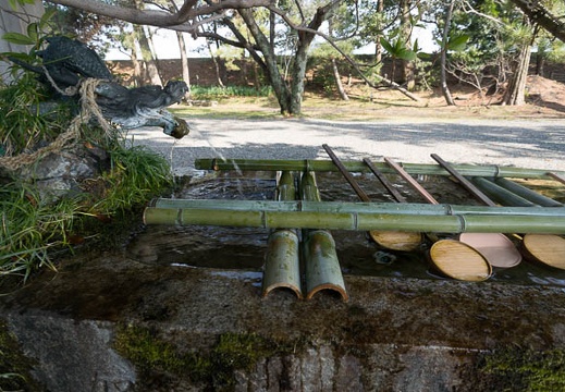 201302131315-DSC00873N.jpg
