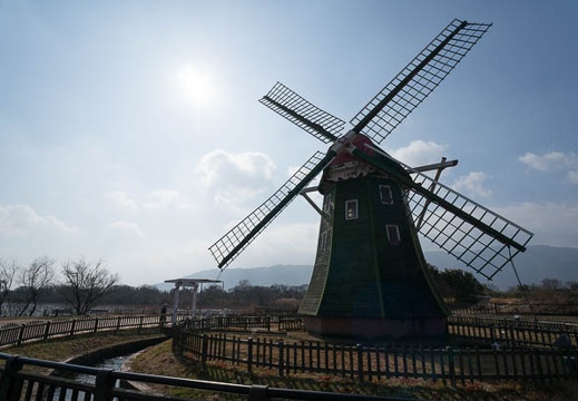 201302131348-DSC00886N.jpg
