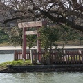201302131441-DSC06068.jpg