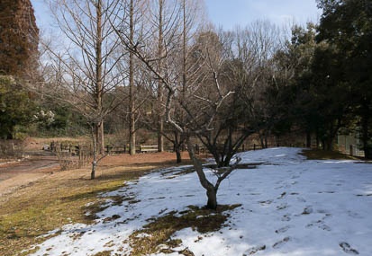 201302141247-DSC00920N.jpg