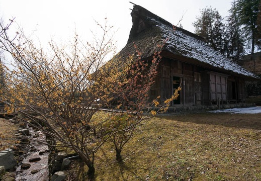 201302141253-DSC00929N.jpg