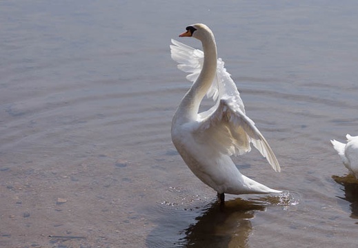 201302141308-DSC06192.jpg