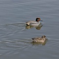 201302141316-DSC06217.jpg