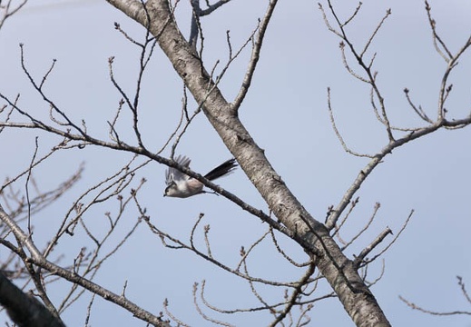 201302141402-DSC06309.jpg