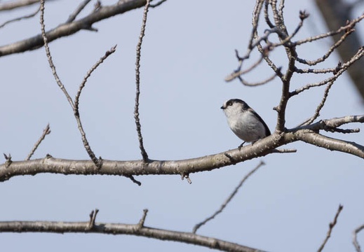 201302141408-DSC06370.jpg