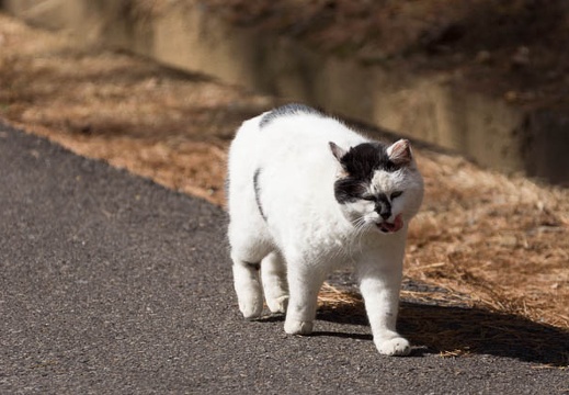 201302161302-DSC06966.jpg