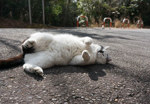 201302161304-DSC01013N.jpg