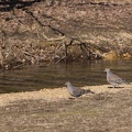 201302161400-DSC07065.jpg