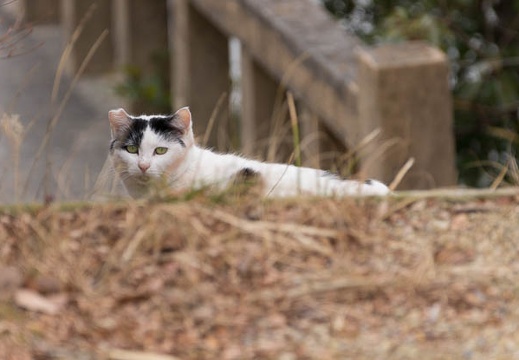 201302171118-DSC07116.jpg