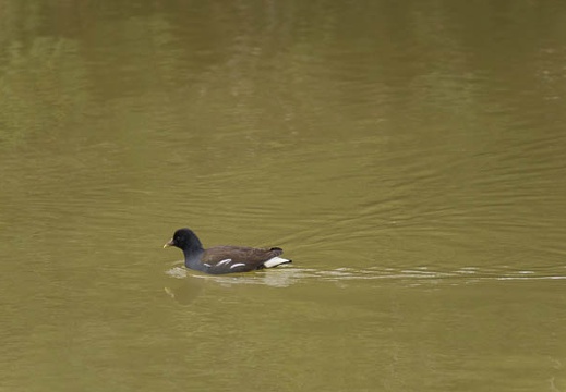 201302171129-DSC07138.jpg