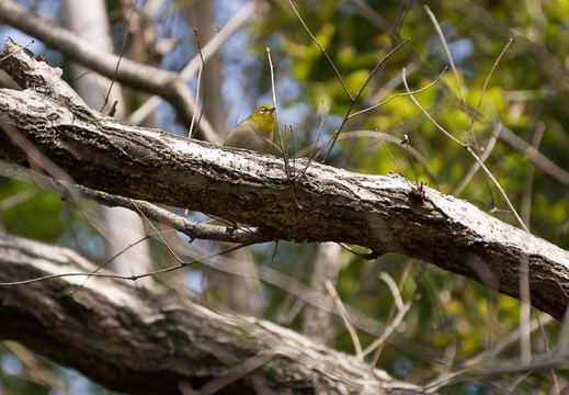 201302171305-DSC07274.jpg
