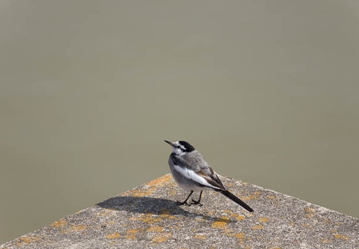 201302171420-DSC07323.jpg