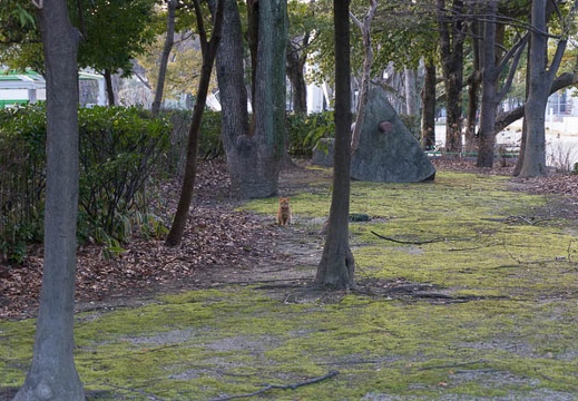 201302201600-DSC01145N.jpg