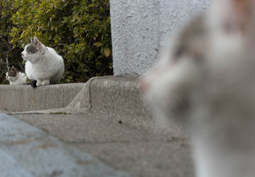 201302211128-DSC01229N.jpg