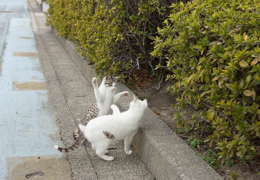 201302211139-DSC07461.jpg