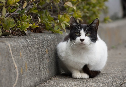 201302211144-DSC07480.jpg