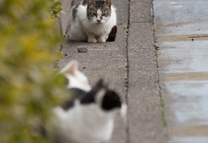 201302211155-DSC07496.jpg