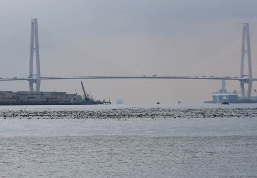 201302211228-DSC07595.jpg