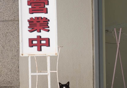 201302211241-DSC07619.jpg