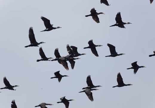 201302211248-DSC07633.jpg