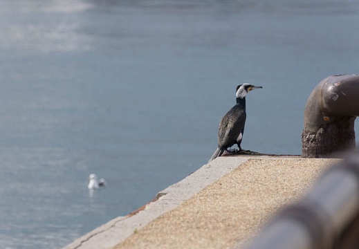 201302211321-DSC07673.jpg