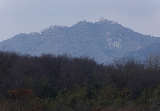 201302221303-DSC08090.jpg