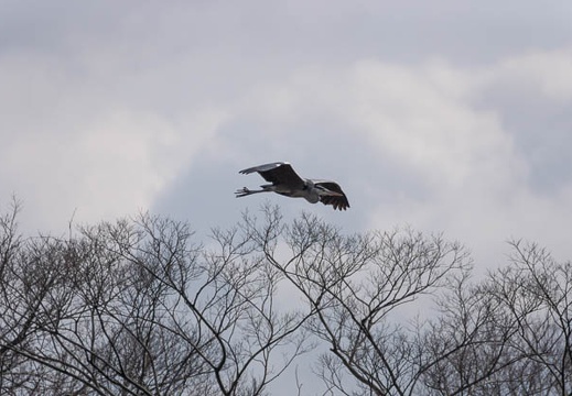 201302221317-DSC08099.jpg