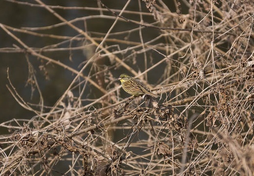 201302221329-DSC08144.jpg