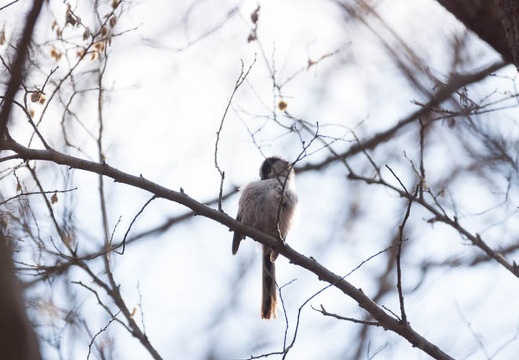 201302221348-DSC08180.jpg