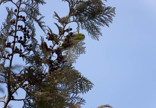 201302221350-DSC08183.jpg
