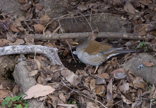 201302221412-DSC08214.jpg