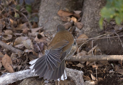 201302221413-DSC08222.jpg