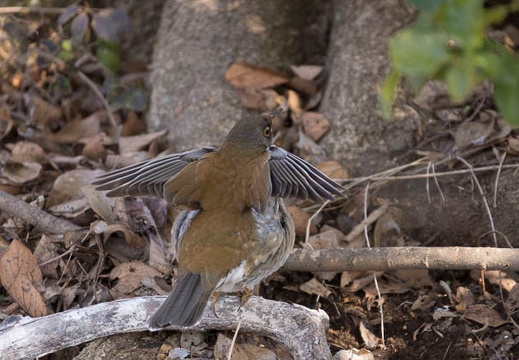201302221413-DSC08224.jpg