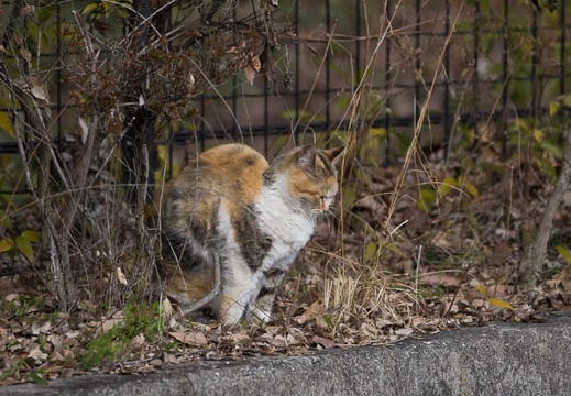 201302221420-DSC08244.jpg