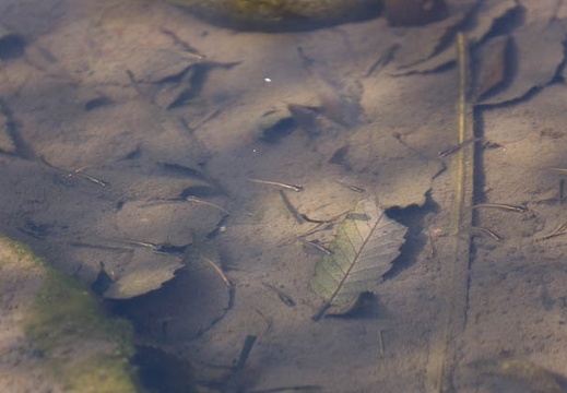201302221429-DSC08265.jpg